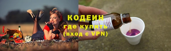 ПСИЛОЦИБИНОВЫЕ ГРИБЫ Белокуриха